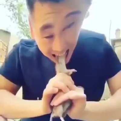 Lizard is KC's best album.