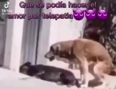 Quien lo diria😈