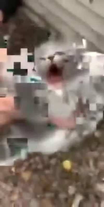 oh he's not happy