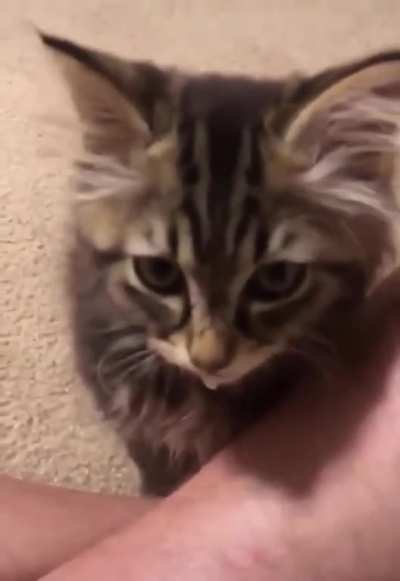 He screm