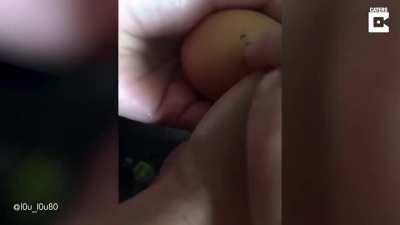Chicken egg from the supermarket