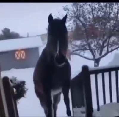 Salutations