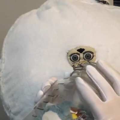 Cursed_furby