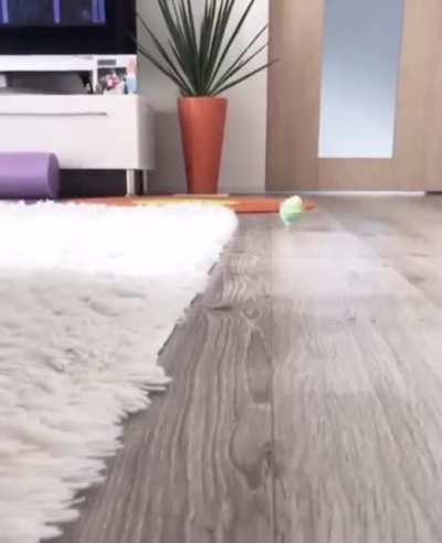 lol