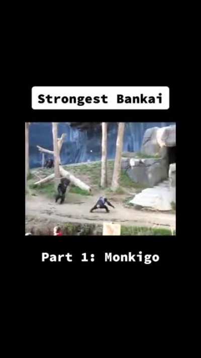 Just finished my 3rd Bleach anime watch and my friend sent me this. I'm dead