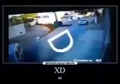 Xd