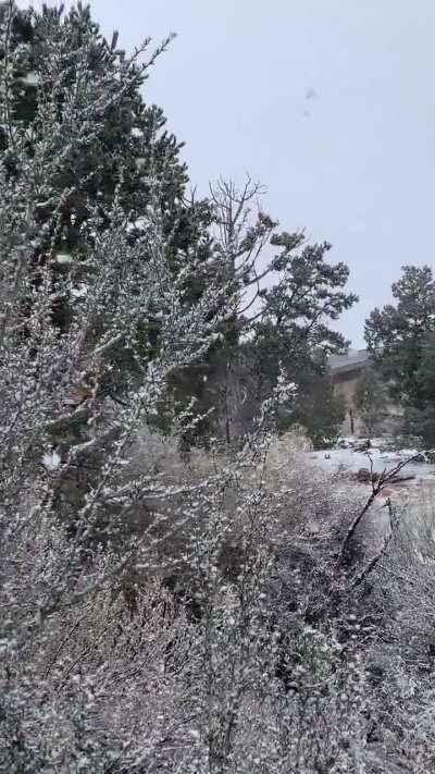 South rim of the Grand Canyon. 01.25.26