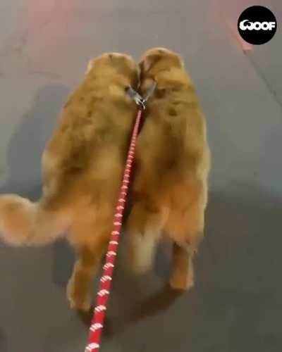 Same movements