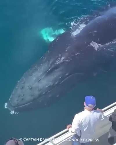 Magical moment