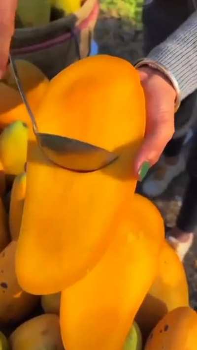 Seedless Mangoes