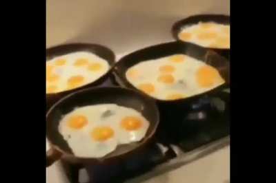 *screams in egg*