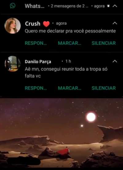 Escolhas