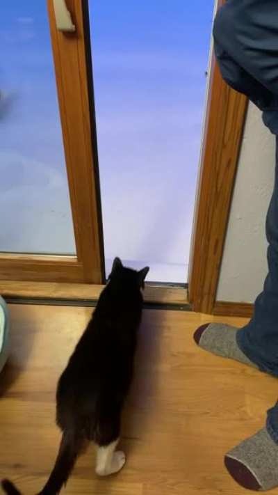 He didn&rsquo;t like it