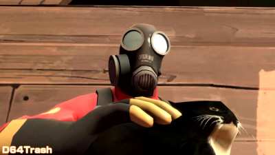 Pyro pets a cat. (Credit to D64Trash on YT)