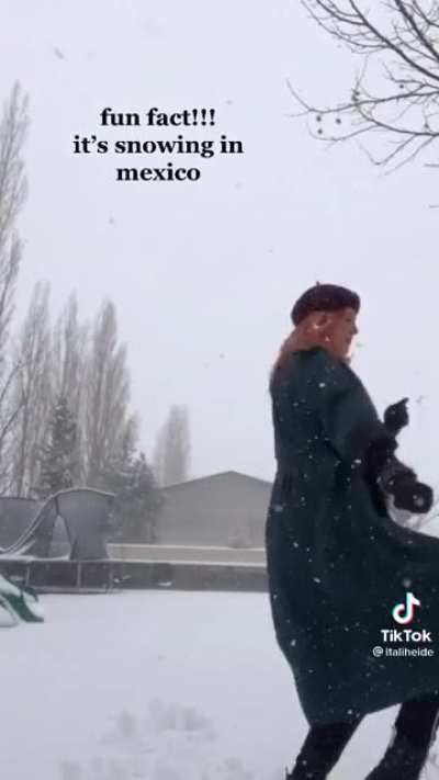 It&rsquo;s snowing in Mexico