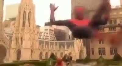 El spiderpepe