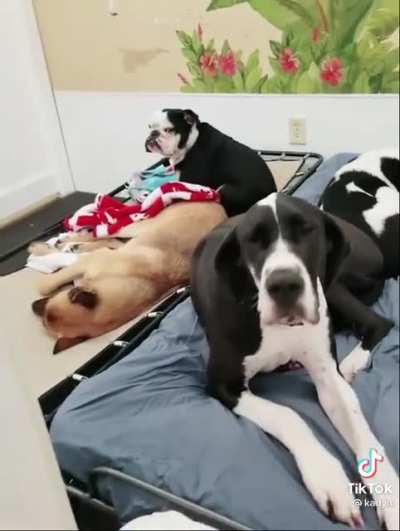 Hope nobody&rsquo;s making trouble