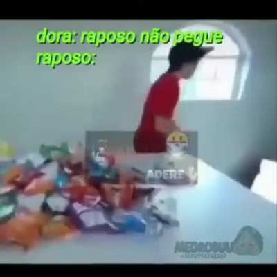 Raposo tilto mn