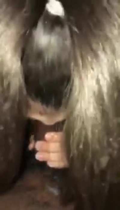 🍆💦🍆💦🍆