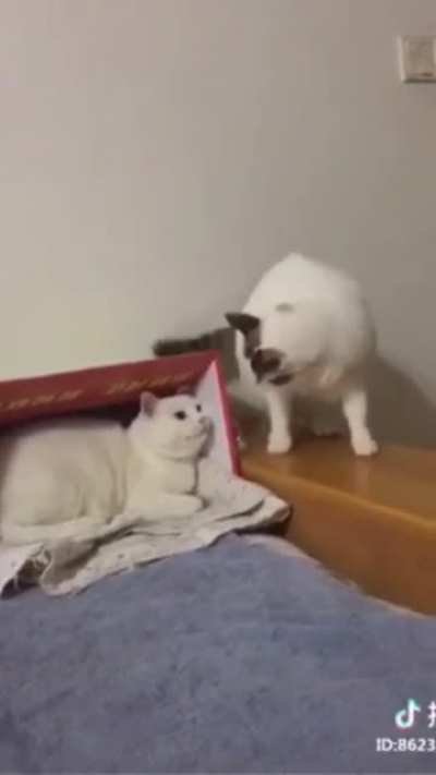 Maybe Maybe Maybe
