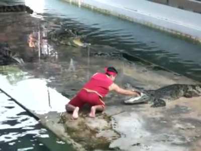 Lemme just play with this crocodile