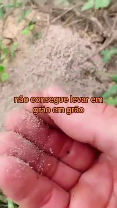 Mude
