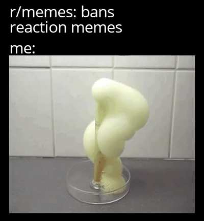 Reaction meme bad