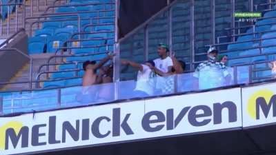 A "fight" at today's match between Gr&ecirc;mio and Palmeiras