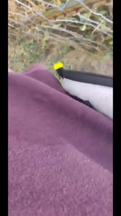 Asking the neighbors for milk