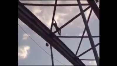 Iranian Spider-Man