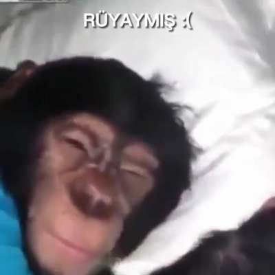 Aga bizim y&uuml;z&uuml;m&uuml;z ne zmn g&uuml;lecek 😔