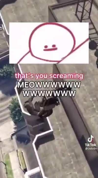 MEOOOOW