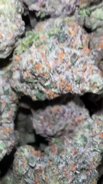 BACCIBALLS