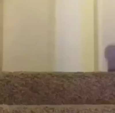 "first time posti- poop poop fard shid"