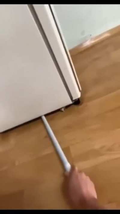 Сука