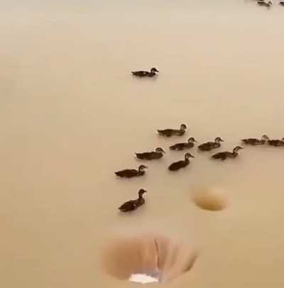 What is this?