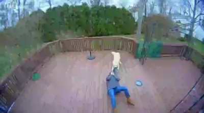 DoG tRyS tO mUrDeR wOmEn