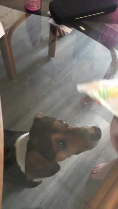 My mom was eating a sandwich on a glass table&hellip;
