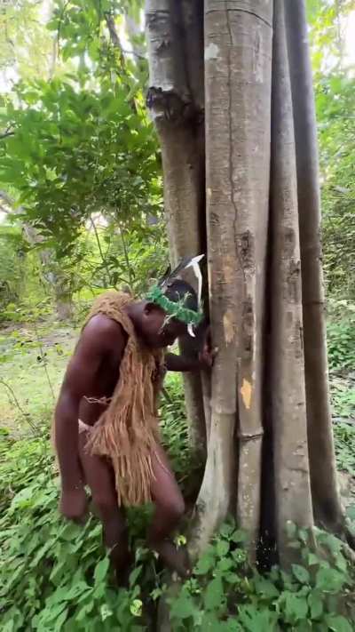Man using his teeth to scrape off the outer bark of a tree