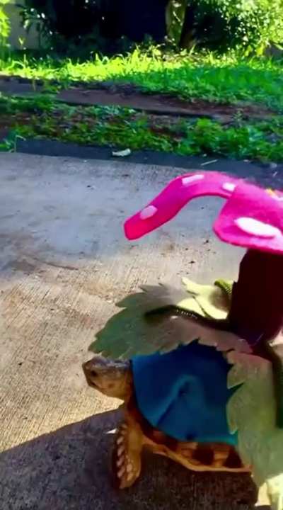 Who&rsquo;s that Pok&eacute;mon?