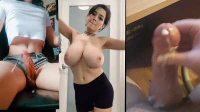Do the Trans cocks interest you?