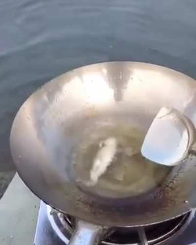 鱼