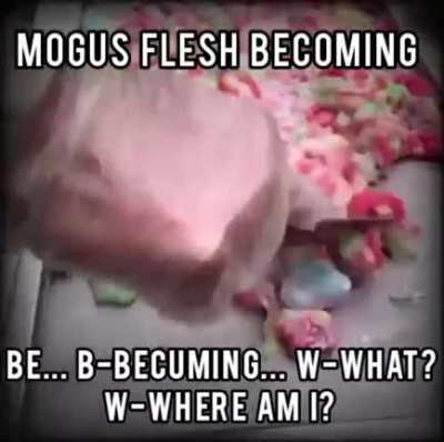 the m-mogus... t-the... flesh