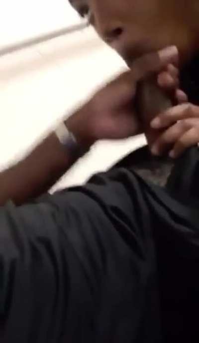 Caught a nut in the staircase