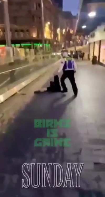 A woman throws her drink over McDonald&rsquo;s security guard and gets an ass whooping