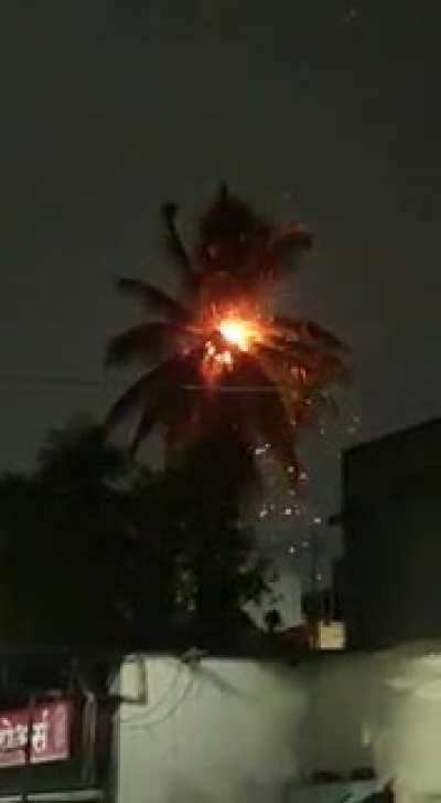 Lighting struck a coconut tree at Parvati area.