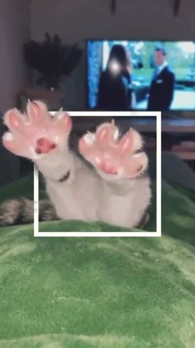 Biiiiiiiiig stretch