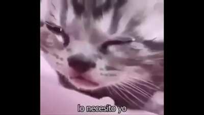 :(