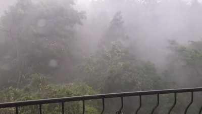 Wind + Rain