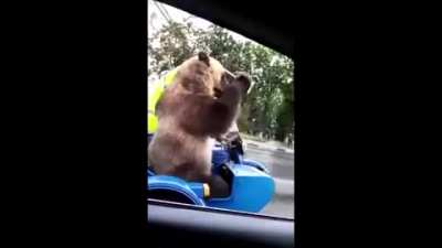 медведь